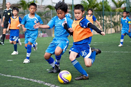 THỂ THAO VẬN ĐỘNG